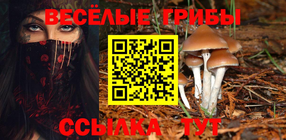 Псилоцибиновые грибы прущие грибы Каменка